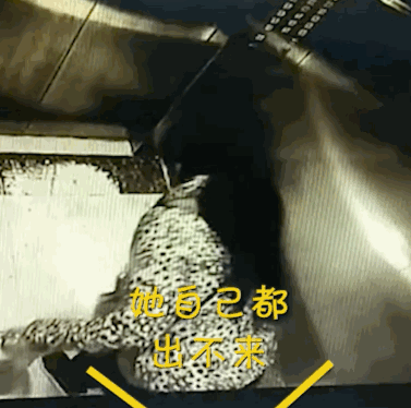 t01a2ff9a27f52f92ec.gif?size=377x374