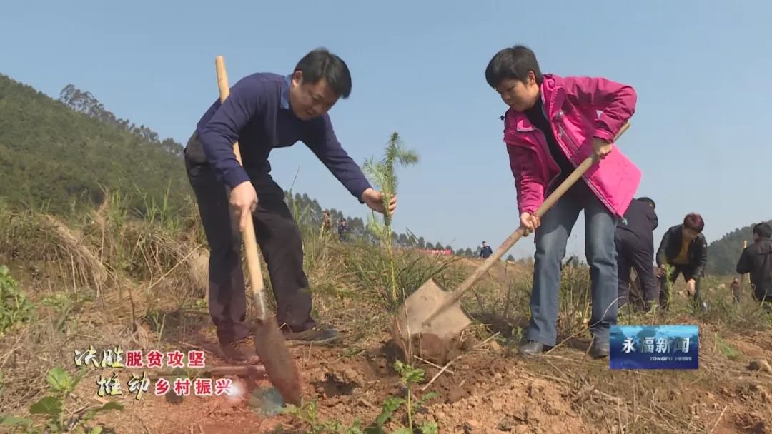 永福开展植树活动践行绿色发展推动乡村振兴