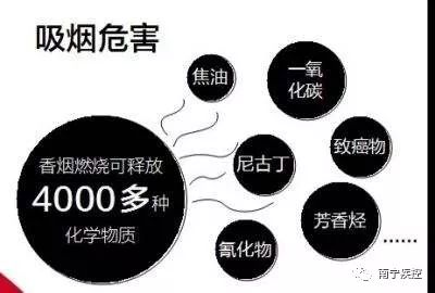 意大利癌症人口_意大利研究人员探索对抗癌症干细胞的潜在治疗方法