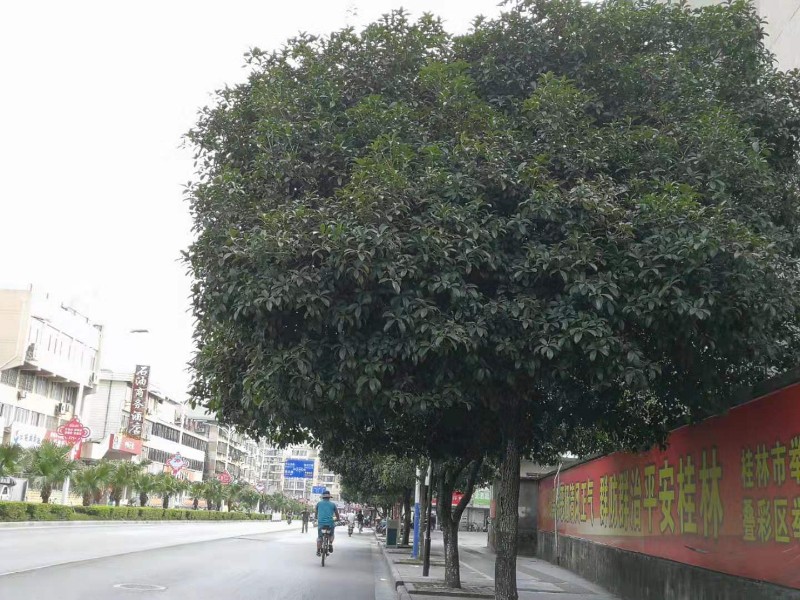 微信图片_20191008182059.jpg