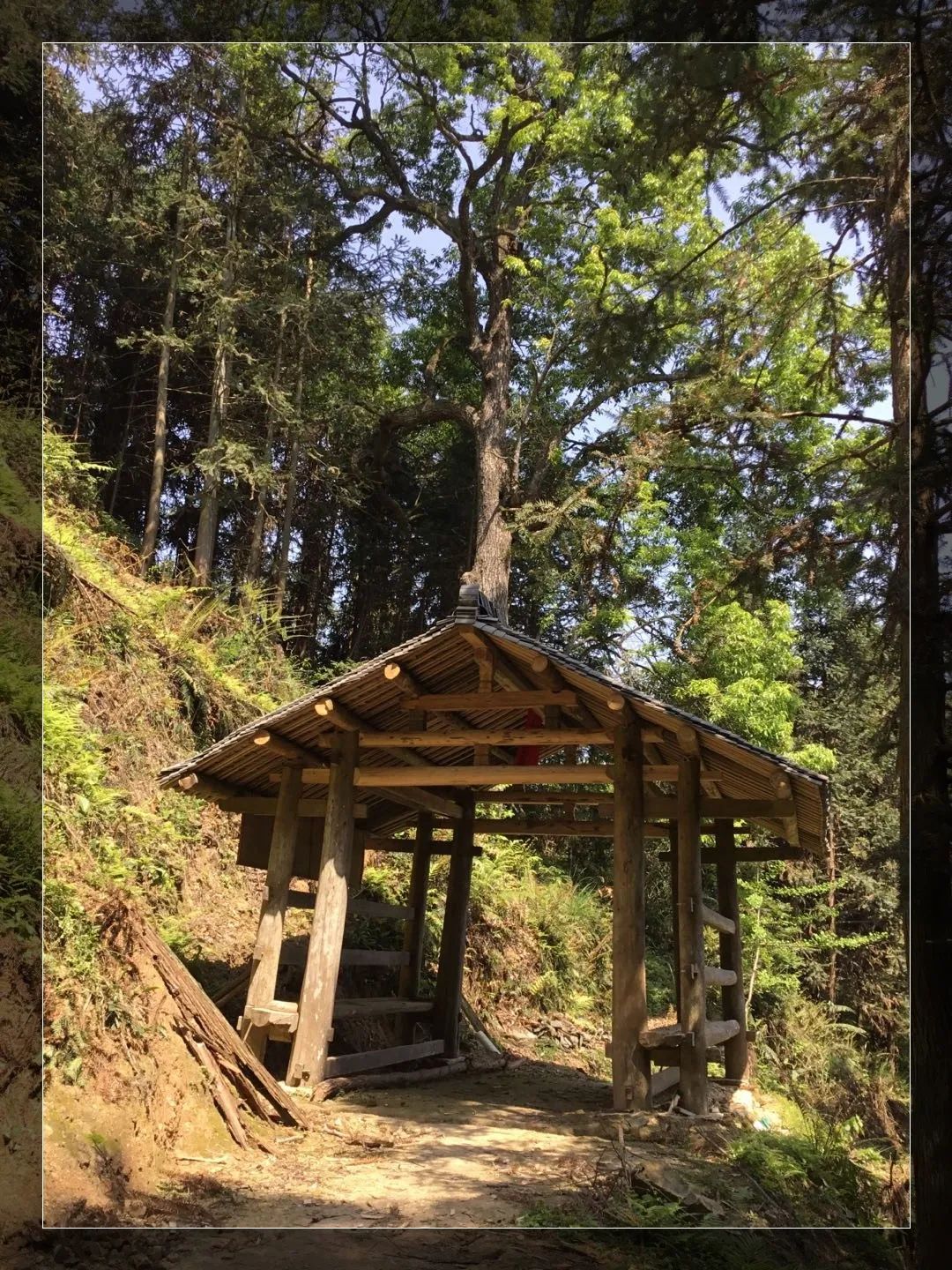 然而,那些通往寨与屯和耕作区的山路仍有人在步行,凉亭给山上劳作的
