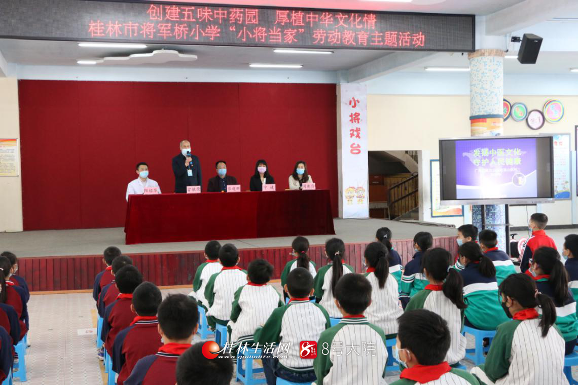 将军桥小学开展"创建五味中药园厚植中华文化情" 劳动