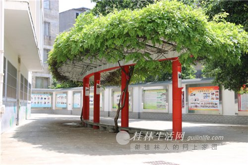 2019年度"桂林市文明校园"评选结果公示中,桂林市将军桥小学榜上有名
