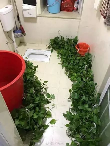 \