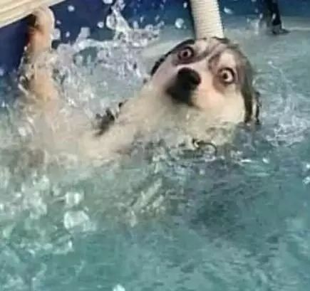 \