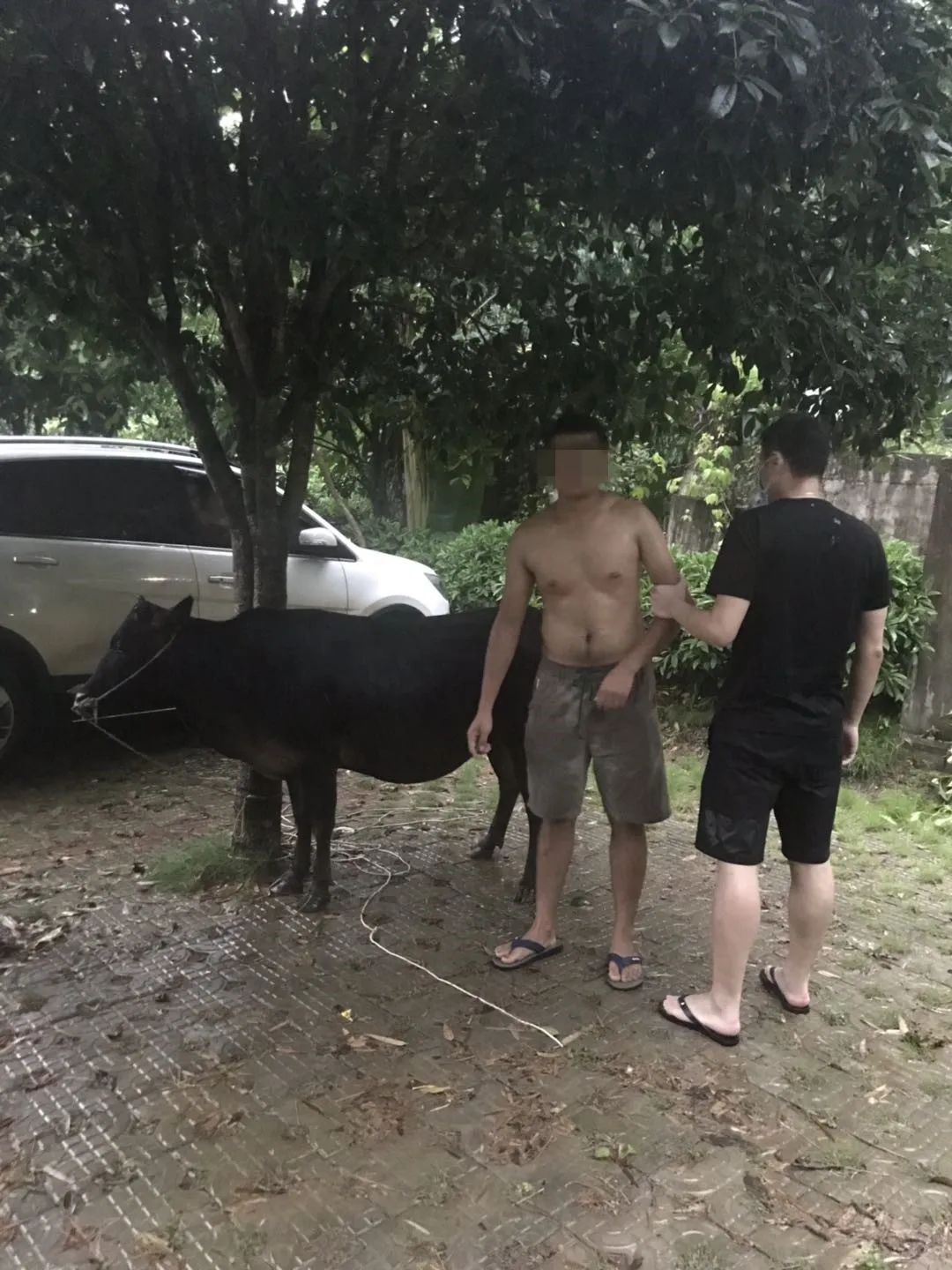 \