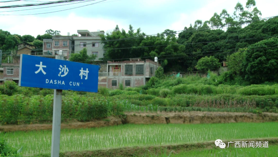 富安居向横县大沙村捐建电能路灯,为爱心企业点赞!