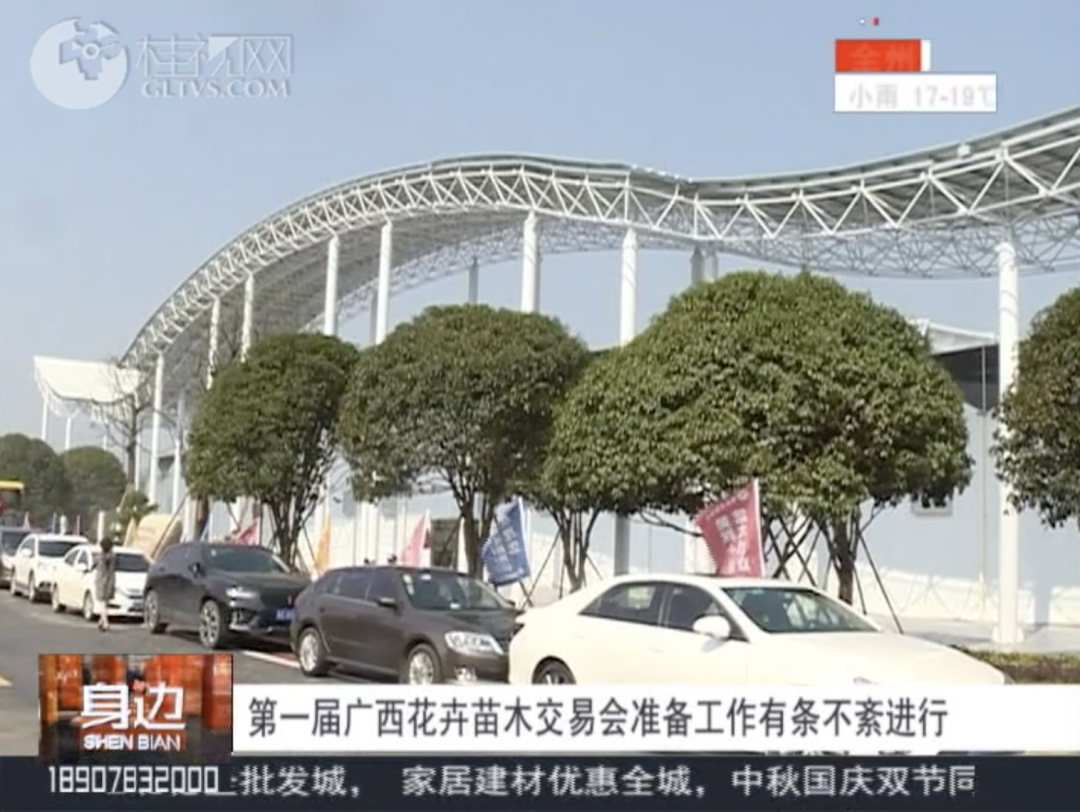 树和花猜一成语是什么_朴树:“树与花”是一份总结这10年顶几辈子(2)
