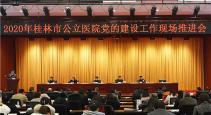 南溪山医院党建业务融合发展为桂林市同行立标杆