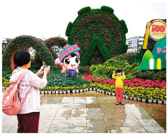节点120万盆摆花造型丰富隔离带鲜花竞放桂林城花团锦簇迎五一