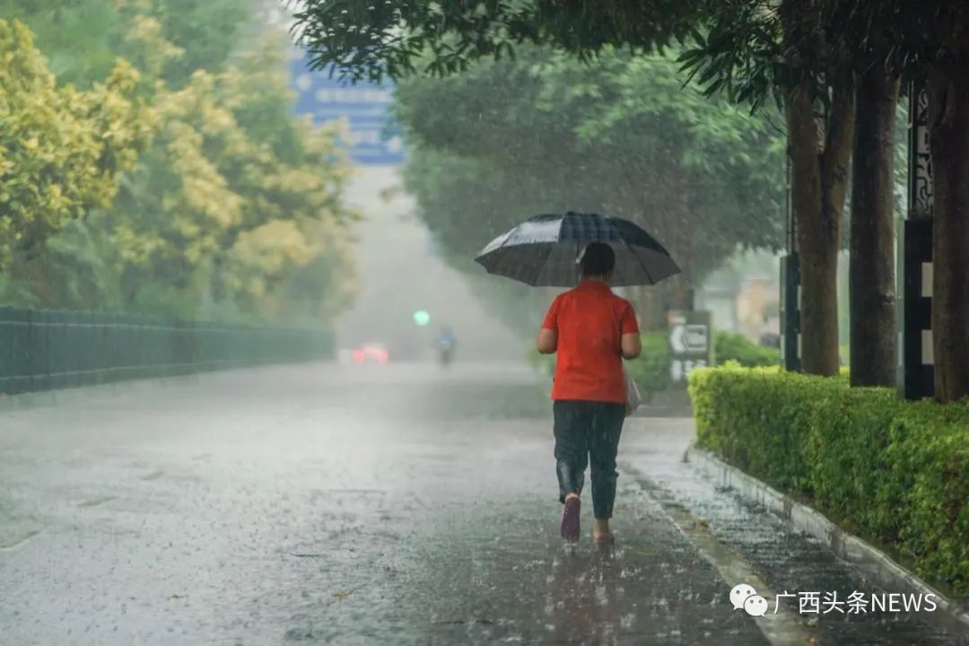 7月22日,南宁市民冒雨出行.陈冠言 摄