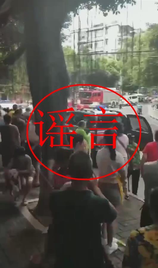 网传重庆13岁女孩将5岁妹妹杀害，警方：谣言插图
