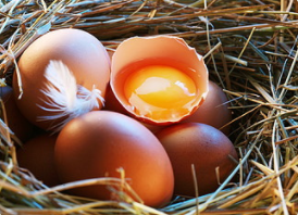 一天一個雞蛋是心血管禍根還是營養佳品?雞蛋怎么吃才健康