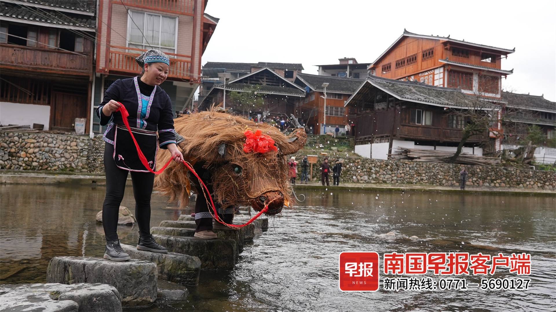 传统节日牛王节场景真实照片，图6替牛祝寿，让牛吃“牛王粑”