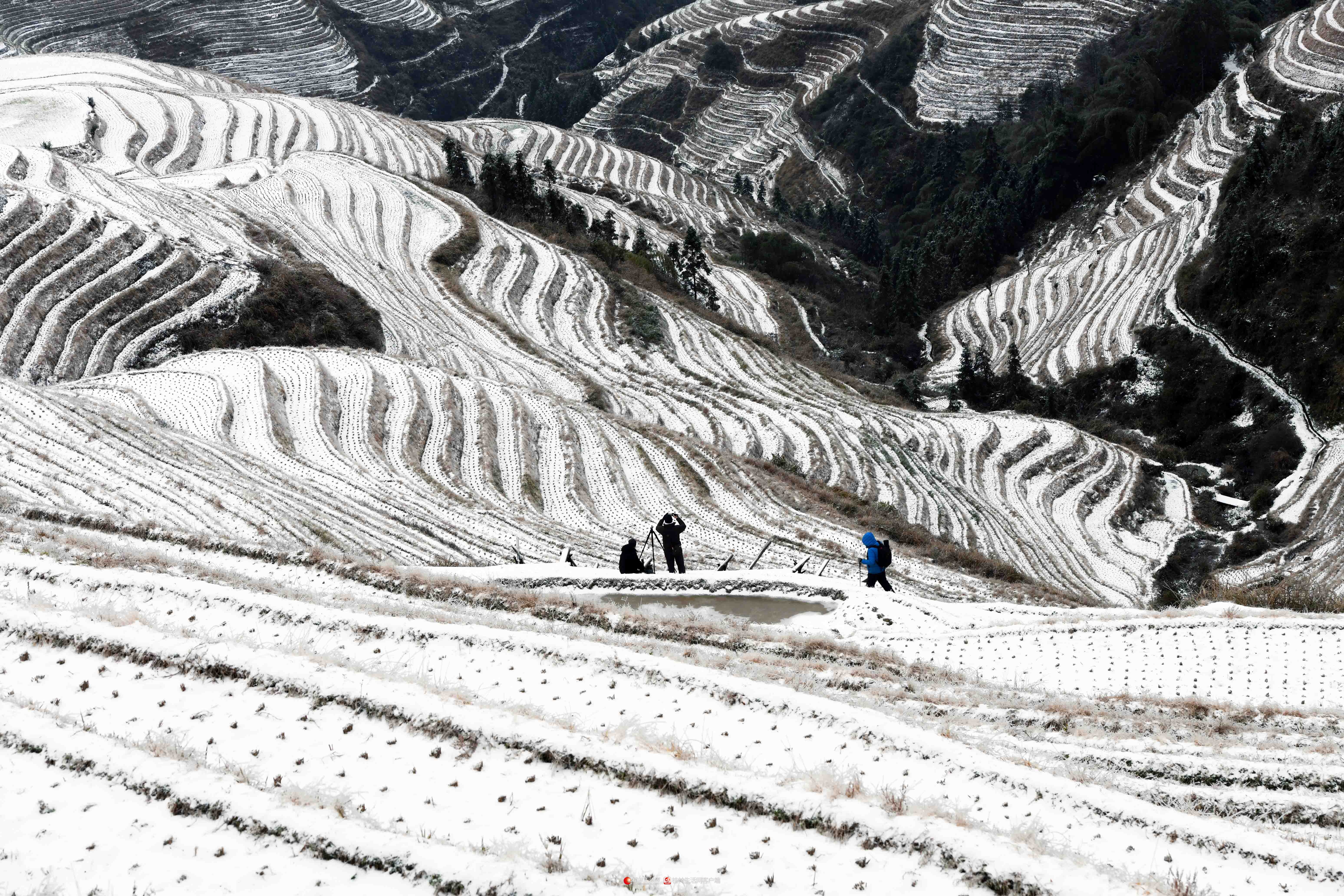 龙胜龙脊梯田雪景如画