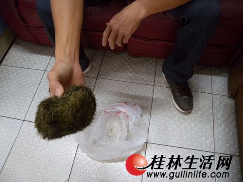 母猪胃里掏出半斤重怪东西 市民疑是 猪宝