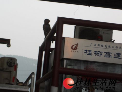 国家二级保护动物猕猴 大闹 高速路收费站(图)