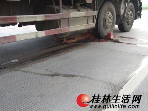 疲劳驾驶酿车祸 电瓶车主惨死货车轮底(图)