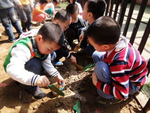 桂林海洋果果幼儿园华德福教育纪实(图)