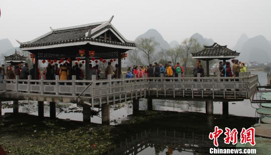 阳朔旅游_阳朔金桔_阳朔旅游收入