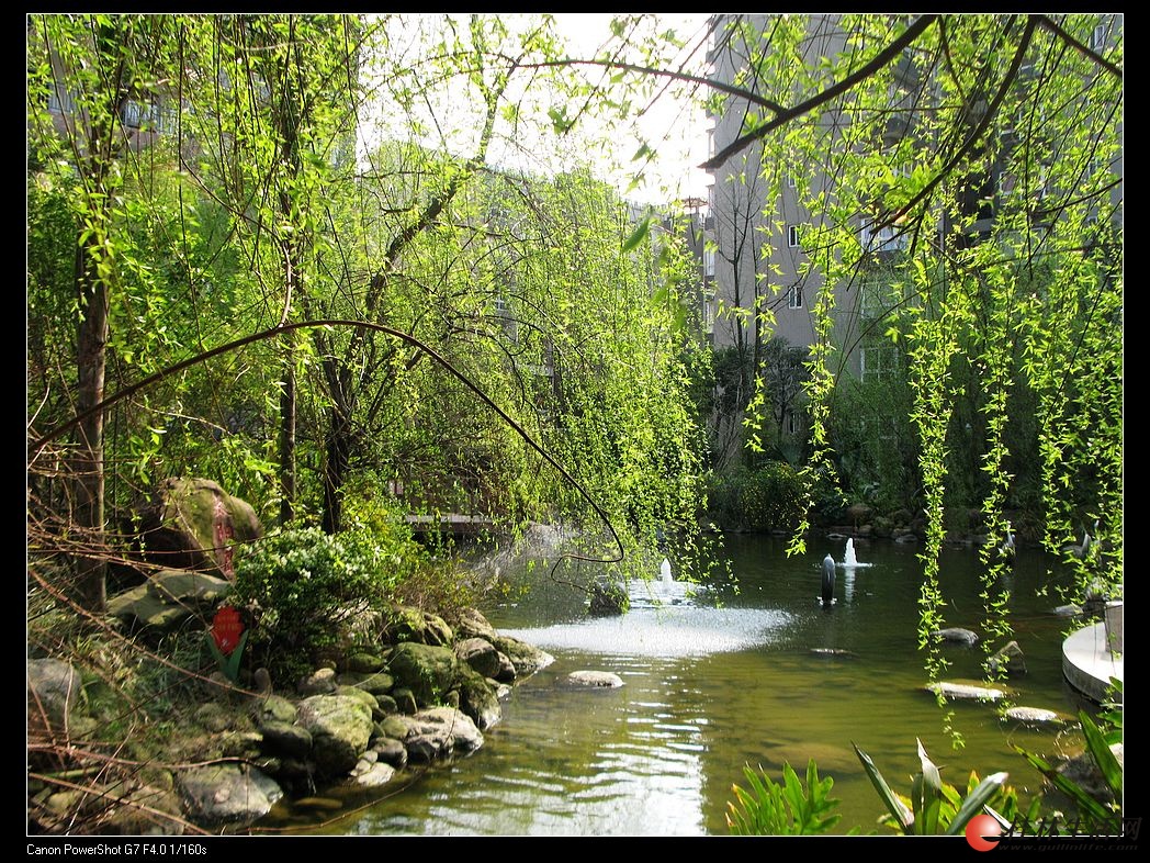 中庭水景园林