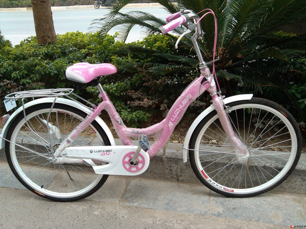 90年代公主自行车图片图片