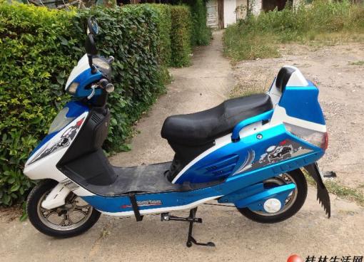 上了桂林正规牌照的一年的98成新红旗款天马电动车一部