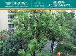 T̩ʥ ¥322 121O112