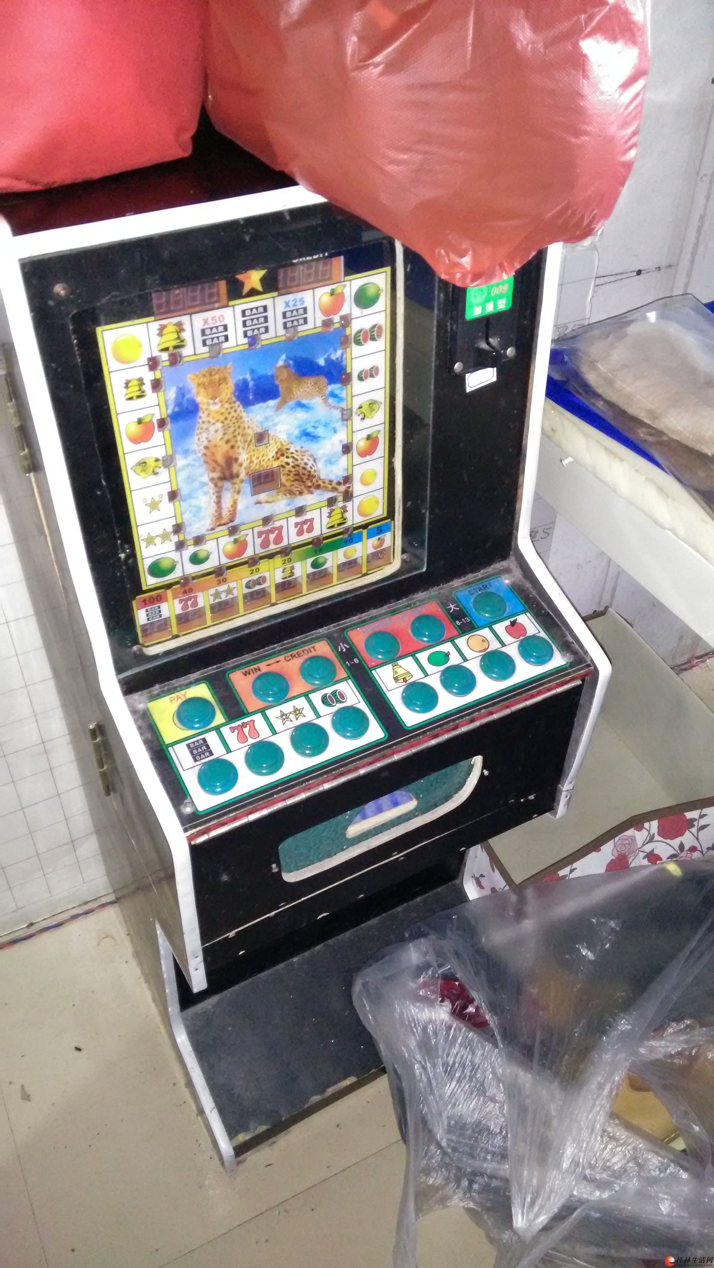 遊戲機水果機出價即賣