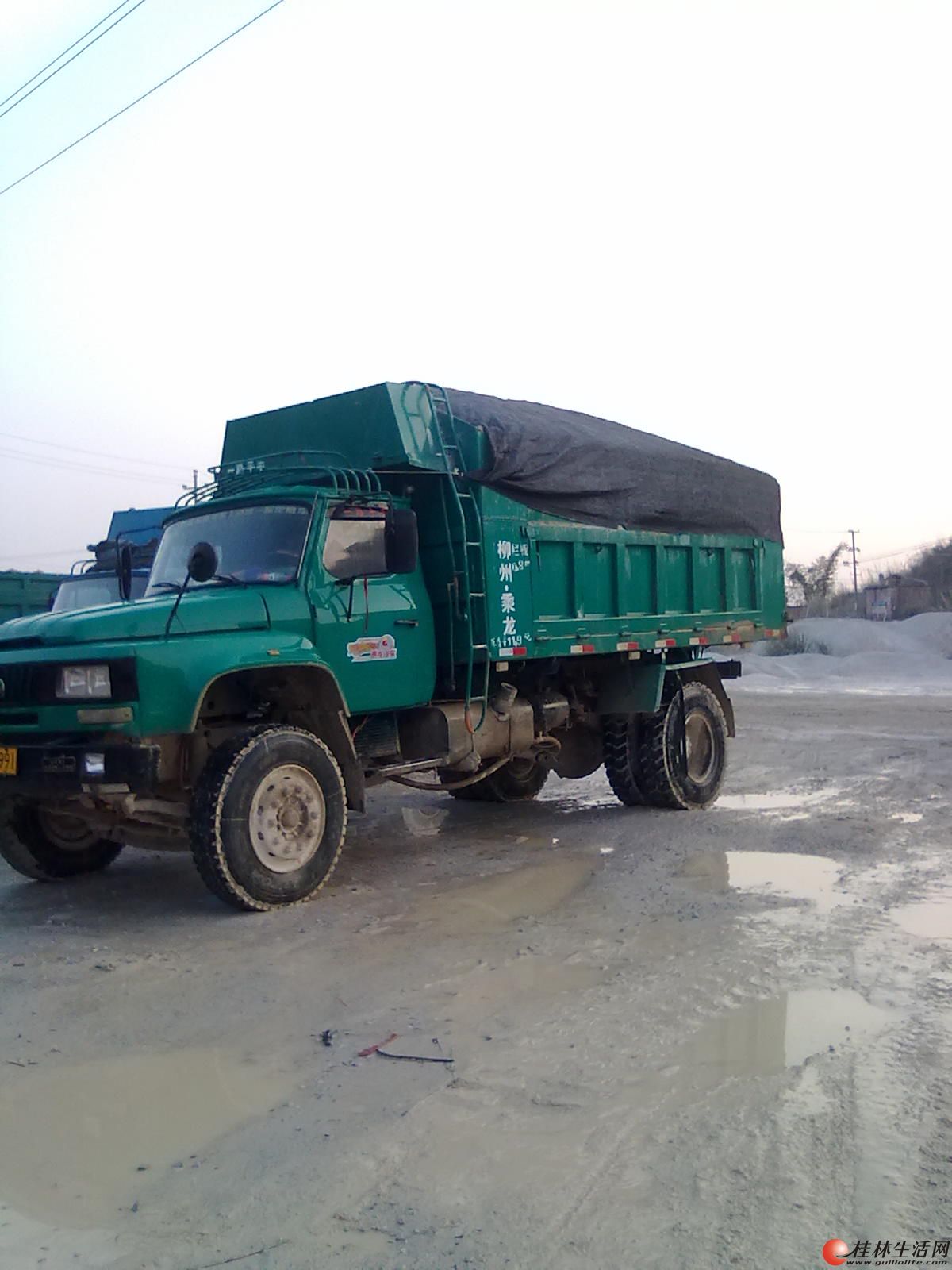 尖头柳汽东gogog