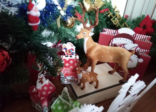 圣诞场景出租!另有优质圣诞苹果礼品出售