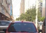 ѩ ŷ ɫ 2011 1.2 ֶ