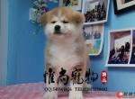 ȮȮ˹ĺСǿ׳