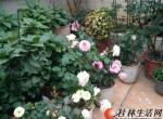 TȦ  ԰˫¶̨ 280