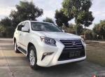 2016׿˹GX460 ɫ