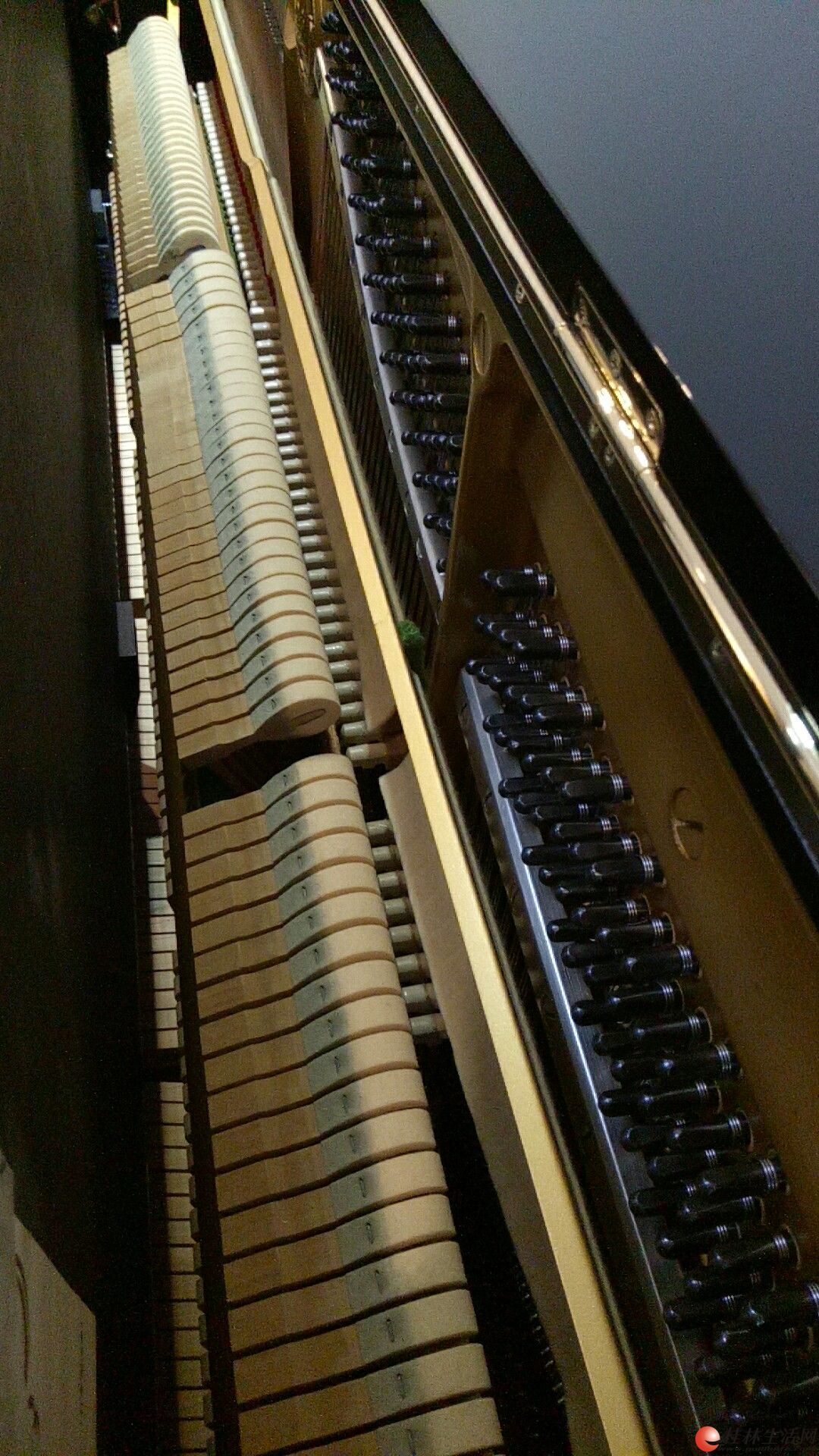 韩国原装进口所罗门钢琴