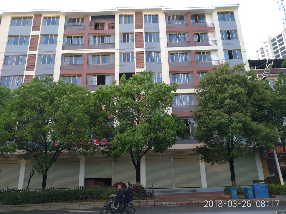 出租临桂区榕山路新起楼房6层半(共620平,门面74平)