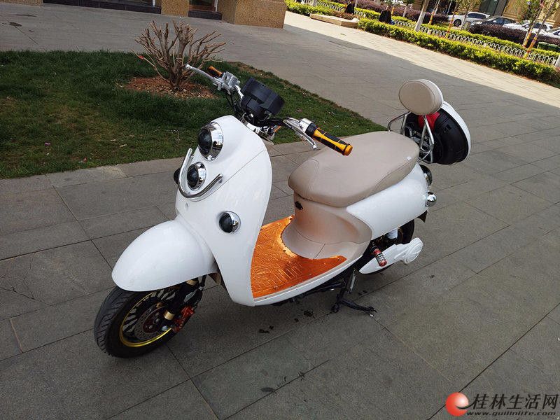 台铃高端龟仔电动车24a静音节能型