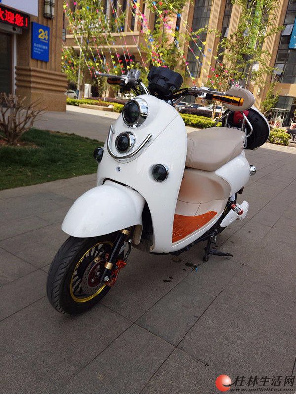 台铃高端龟仔电动车24a静音节能型