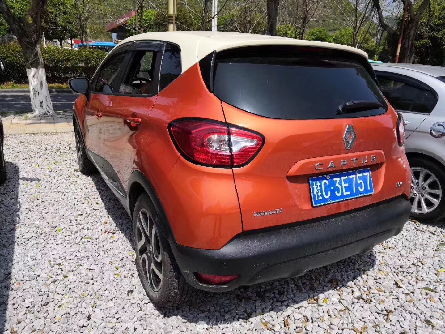 17年10月精品进口雷诺卡宾