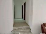 Դ̫ 523