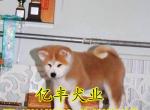 ۴  ֱ