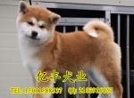   ֱ