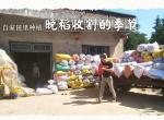 不抛光的放心全州大米。