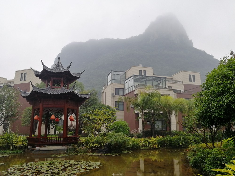 临桂东方庭院图片