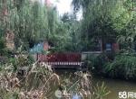 Զʾ沽Ϸ