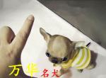 ۼȮ Сļ 豭Ȯ