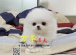 Ǯ ɫ ȮͼƬ Ǯ
