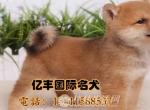 ۴ֲȮ ȮǮ