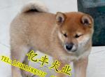 ۴ֲȮ ֲȮ۸ ڷȮֱȮ